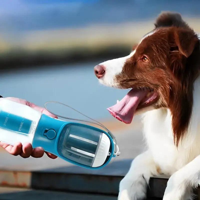 3-in-1 Pet Travel Bottle